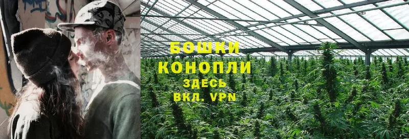 Конопля Ganja  мориарти формула  Алейск 